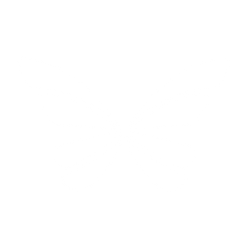 DLRM